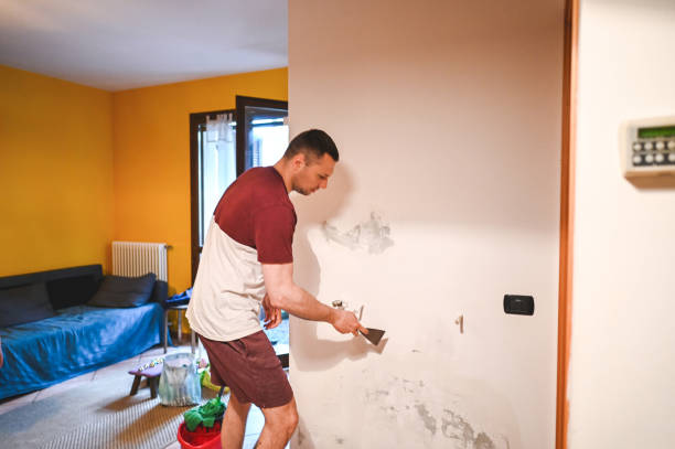 Best Bathroom Mold Remediation in Daingerfield, TX